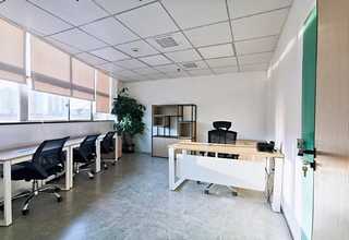 植物盆栽租赁新津区