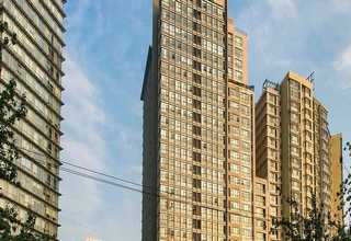 湖北椰壳活性炭碘值